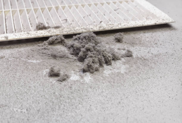 Best Residential Air Duct Cleaning  in Stony Point, MI