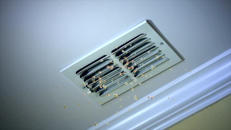 Best Best Air Duct Cleaning Company  in Stony Point, MI