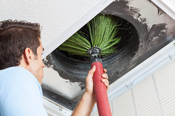 Best Home Air Vent Cleaning  in Stony Point, MI